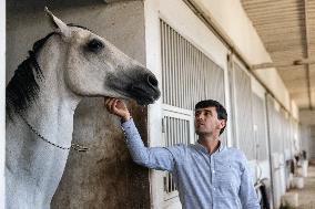 TURKMENISTAN-ASHKHABAD-AKHAL-TEKE HORSE