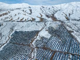 Snow-covered Photovoltaic Power Generation in Qilian