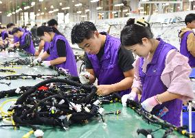 China Manufacturing Industry Car Wiring Harnesses