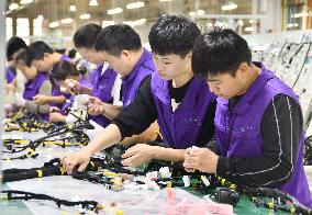 China Manufacturing Industry Car Wiring Harnesses
