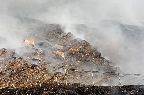 INDONESIA-SEMARANG-LANDFILL-FIRE
