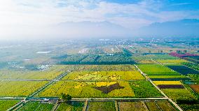 #CHINA-AUTUMN-AGRICULTURE (CN)