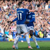 Everton FC v AFC Bournemouth - Premier League