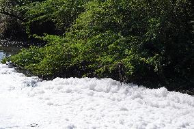 Toxic foam coats river in Ajmer - India