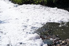 Toxic foam coats river in Ajmer - India
