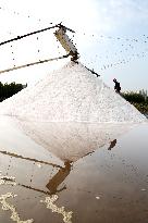 Workers Work in A Salt Pan in Lianyungang