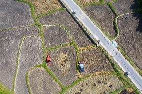 Farmers Plow Land in Congjiang