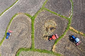 Farmers Plow Land in Congjiang