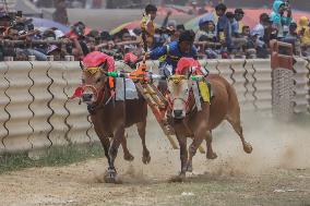 Kerapan Sapi, A Traditional Cattle Race In Indonesia