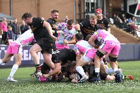 Newcastle Falcons v Caldy - Premiership Rugby Cup