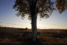 'squirrels' Occupy Trees To Be Cut For Tha Decried A69 Highway