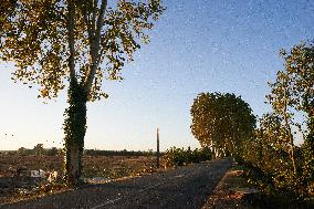 'squirrels' Occupy Trees To Be Cut For Tha Decried A69 Highway