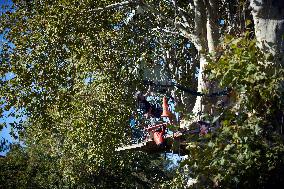 'squirrels' Occupy Trees To Be Cut For Tha Decried A69 Highway