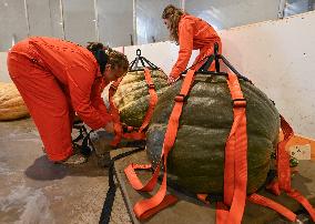 Smoky Lake Great White North Pumpkin Fair 2023