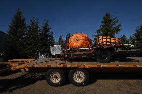 Smoky Lake Great White North Pumpkin Fair 2023