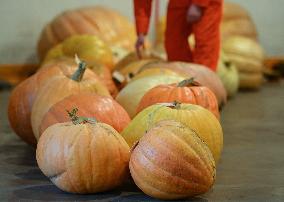 Smoky Lake Great White North Pumpkin Fair 2023