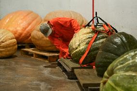 Smoky Lake Great White North Pumpkin Fair 2023