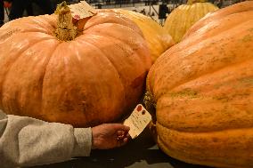 Smoky Lake Great White North Pumpkin Fair 2023