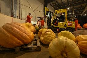 Smoky Lake Great White North Pumpkin Fair 2023