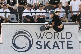 Skateboarding: Park world championships