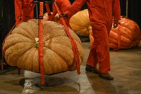 Smoky Lake Great White North Pumpkin Fair 2023