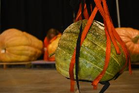 Smoky Lake Great White North Pumpkin Fair 2023