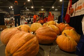 Smoky Lake Great White North Pumpkin Fair 2023