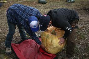 Great Pumpkin Commonwealth Giant Pumpkin Competition