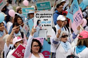 Pro-Life March - Mexico City