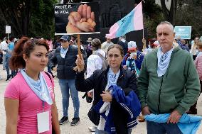 Pro-Life March - Mexico City