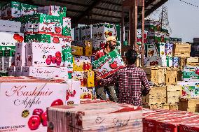 Fruit Business In Kashmir