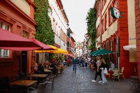 Daily Life In Heidelberg