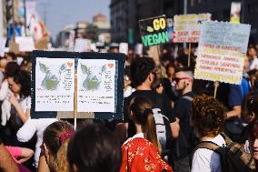 The Protest Of Animal Rights Activists For The Killing Of Pigs In The Shelter Santuario Progetto Cuori Liberi Of Sairano In Mila