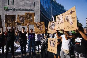 The Protest Of Animal Rights Activists For The Killing Of Pigs In The Shelter Santuario Progetto Cuori Liberi Of Sairano In Mila