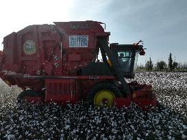 Cotton Harvest in Xinjiang