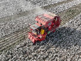 Cotton Harvest in Xinjiang