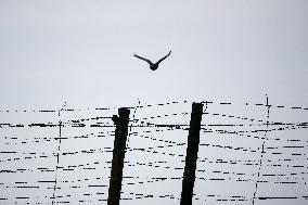Majdanek Concentration Camp