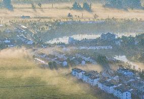 Advection Fog Surrounds a Field in Suqian