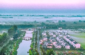 Advection Fog Surrounds a Field in Suqian