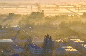 Advection Fog Surrounds a Field in Suqian