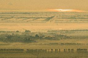 Advection Fog Surrounds a Field in Suqian