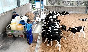 Dairy Farm in Hai 'an