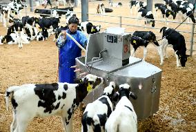 Dairy Farm in Hai 'an