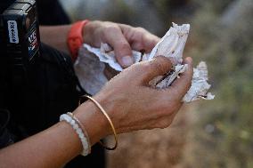 Migrants Controlled At Italian Border - Menton