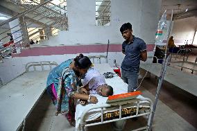 Dengue Deaths Top 1000 In Worst Outbreak On Record - Dhaka