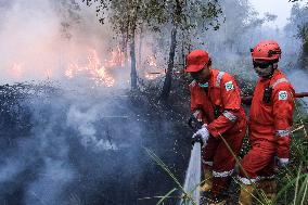 Forest Fire In South Sumatra