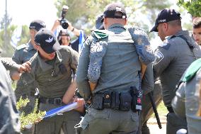 Israel Judicial Overhaul Protests