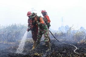 Due To The Prolonged Dry Season, Forest And Land Fires Continue To Occur In South Sumatra
