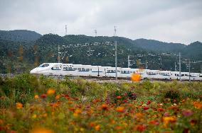 Trains Run in Congjiang