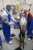Game meat handlers training school in Japan
